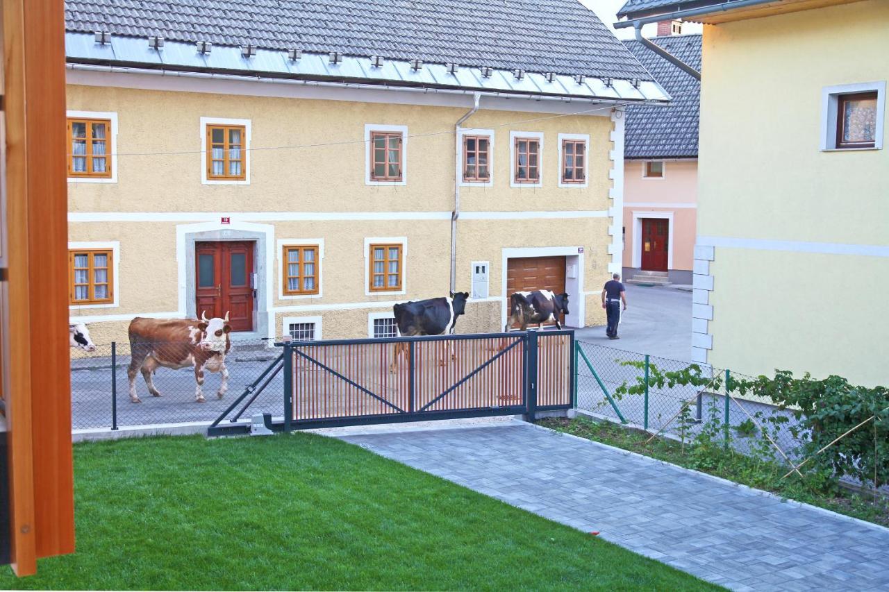 Apartment Jurijana - New 4-Bedroom Triplex With Sauna & Garden Бохин Екстериор снимка